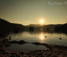 DSCF2844